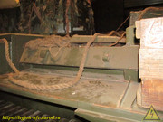 IMG-4600