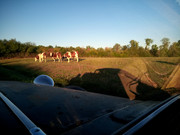 IMG-20260913-075828-150.jpg