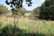 DSC-0042