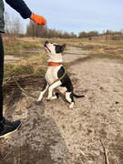 IMG_20230415_233129_123