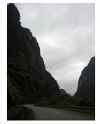 62788088-0BEE-4FBA-A6B8-350E74C9F036