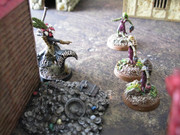 IMG-9424