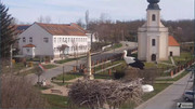 Kép