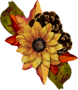 ISmell-Autumn-LL-Element64