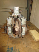 IMG-6403.jpg