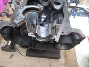IMG-5013.jpg