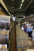 IMG-5807