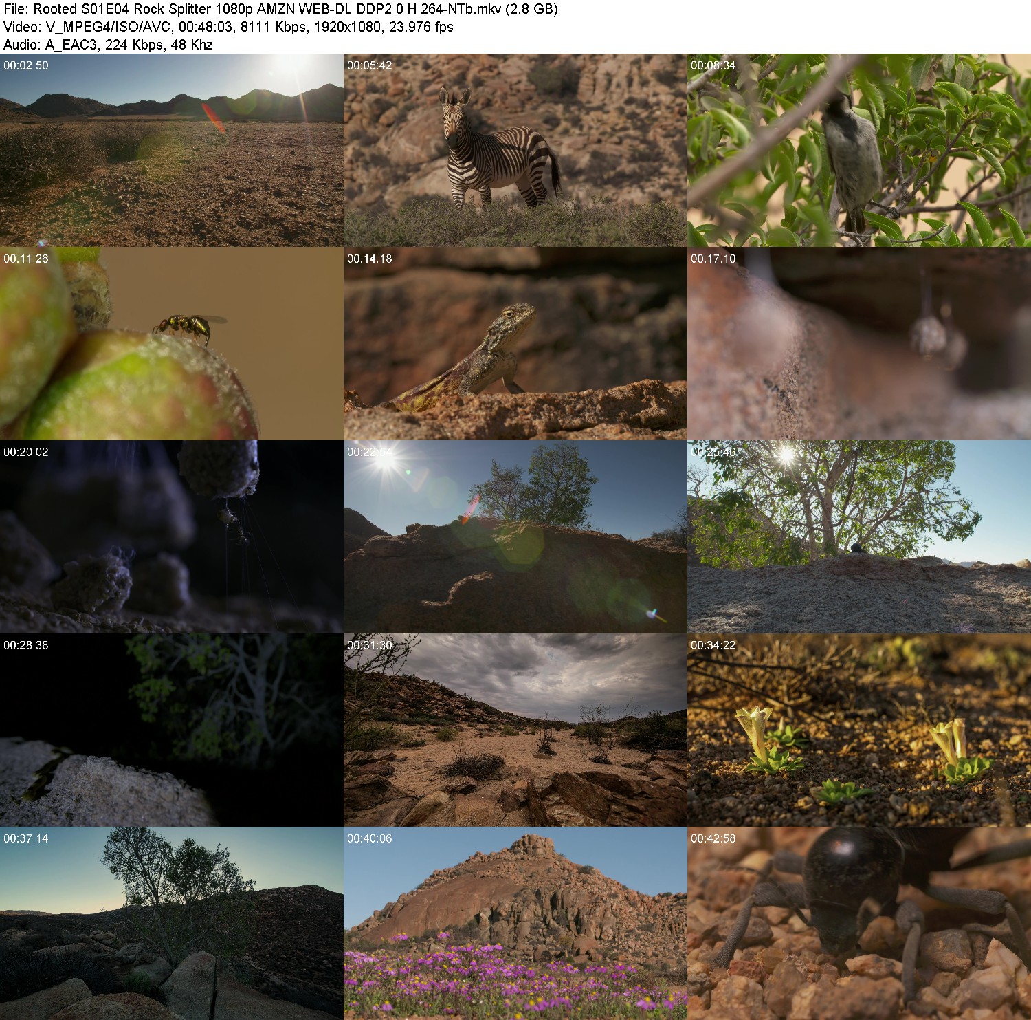 [Image: 1p8ohmxs4ay3.jpg]