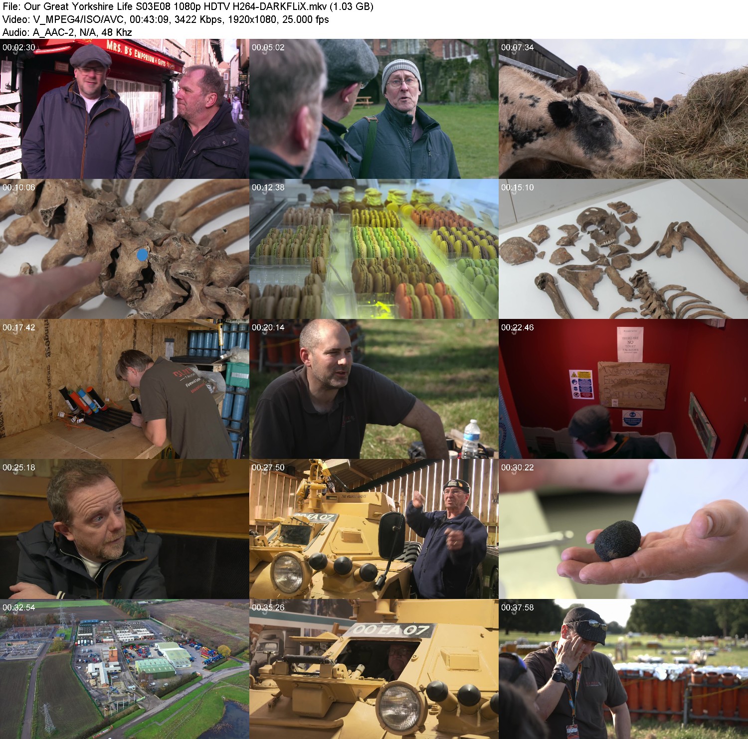 [Image: 4iy8tt6pwd4u.jpg]