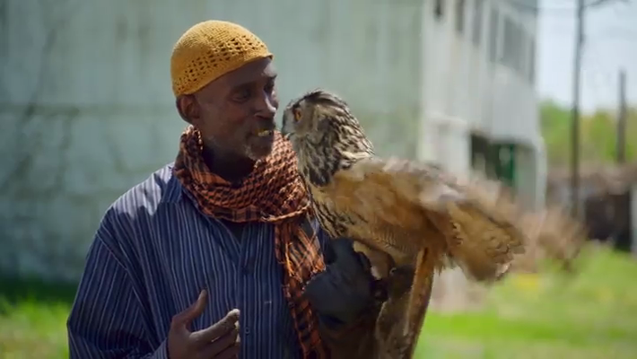 [Image: ph0tlgf1tz81.png]