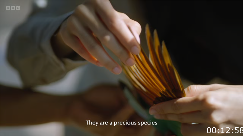 [Image: rvdn7fza9m56.png]