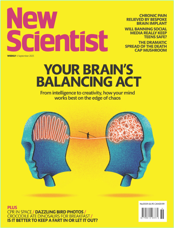 New Scientist International Edition 6 September 2025 True PDF