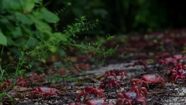 [Image: lmcbiw42tb95.jpg]