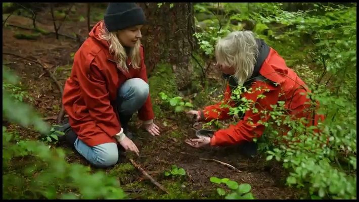 [Image: r28i2kfzwe5i.png]