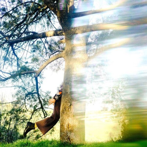 Shannon Lay - Past The Veil (2026) FLAC