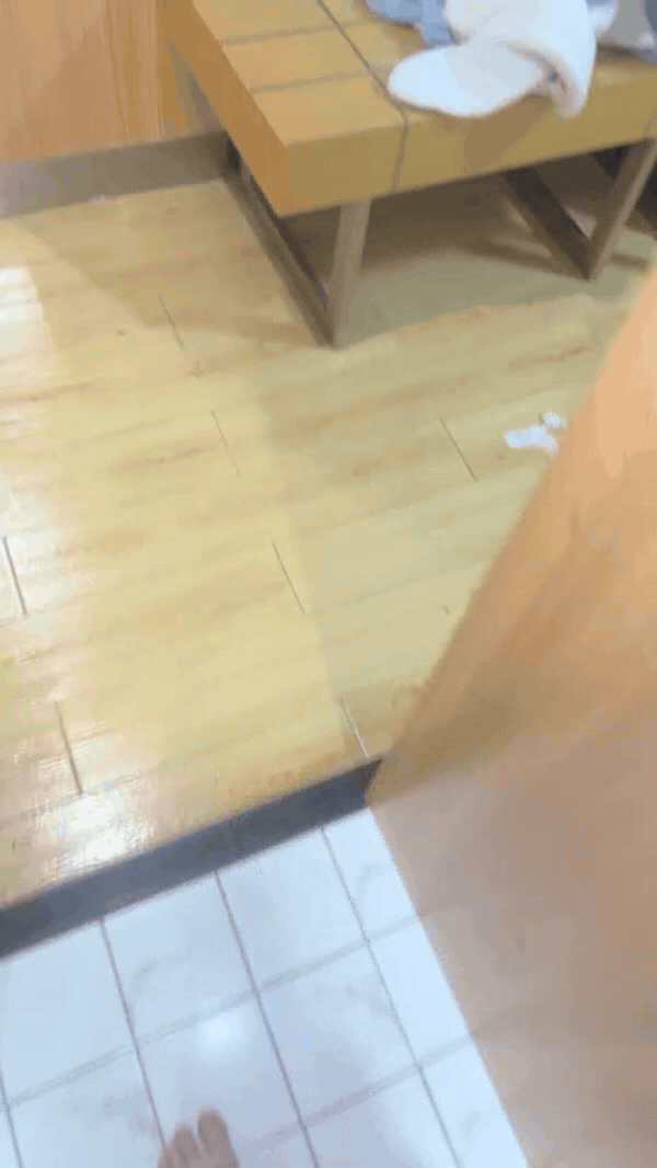 圖檔