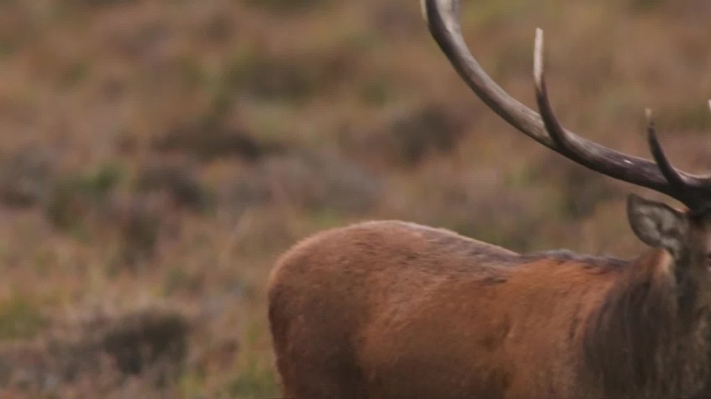 [Image: 57vs2sghx6zs.jpg]