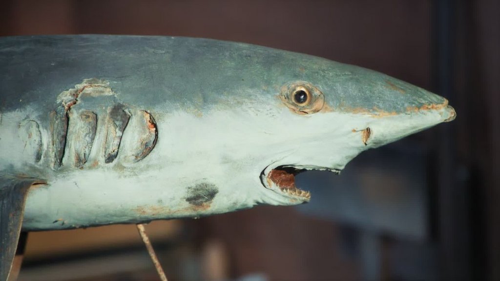 [Image: sahq8m7f46wg.jpg]