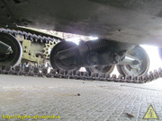 IMG-0117