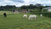IMG-20260602-142132204