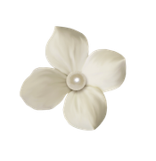 Winter-White-Elements-164