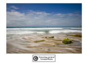 Fernando-M-Entre-el-mar-y-la-tierra