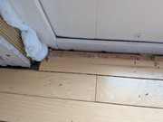 PXL-20260407-193804663-MP