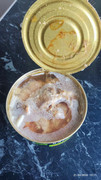 IMG-20260421-121135