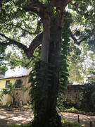 IMG-8841