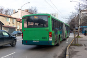 IMG-5032
