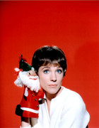 julie_andrews_mc36