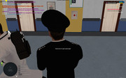 3(3)