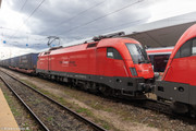 IMG-2771
