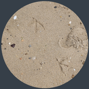 Photographed by: Twiglet June 11th 2023