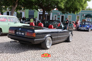 IMG-3596