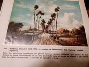 ¿Recomendarías coleccionar a cualquiera? IMG-20190113-203046