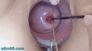 Cervix Play with Speculum and Insertion of long Metal Chain