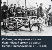 https://i.postimg.cc/hXNjtfSK/photo-2026-06-02-03-31-26.jpg