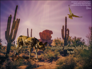 Another African Wild Dog