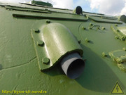 DSCN5284