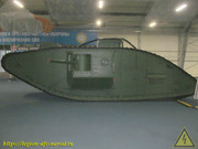 IMG-6826