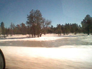 who want's to go ice skating? (2026)