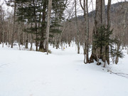 IMG_5680_série_2_55