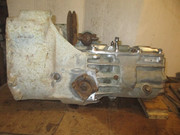 IMG-6489.jpg