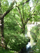 photo 8 2025 12 27 21 08 38