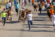 IMG-0468