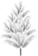 BC-Charlizes-Winter-49