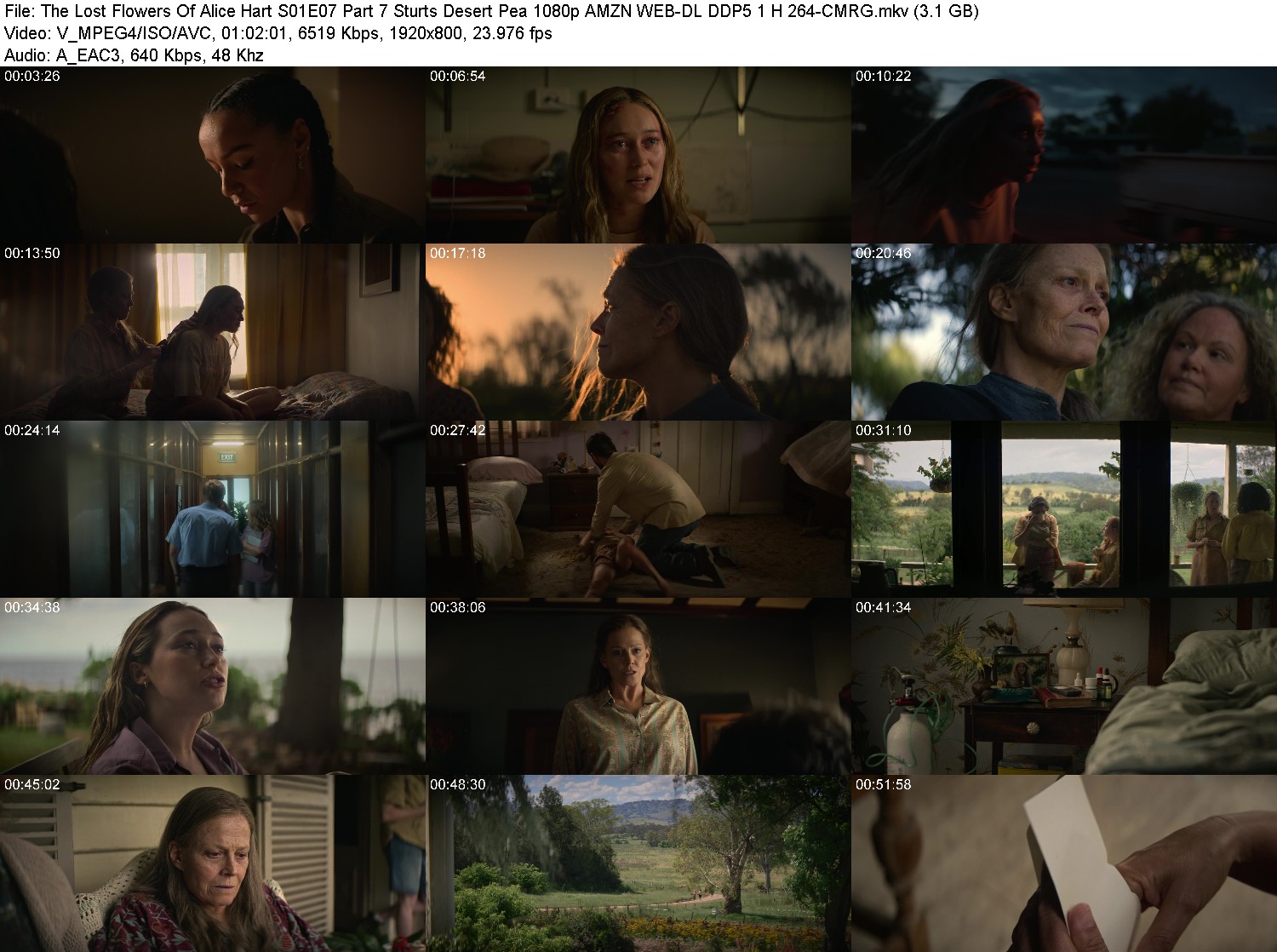 [Image: l87erp8a3vai.jpg]