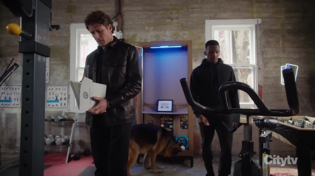 [Image: ewd69sd8taw6.jpg]