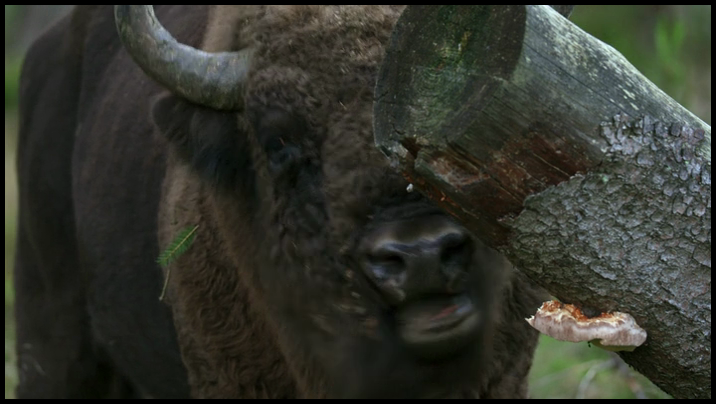 [Image: q1npws3n3ta7.png]